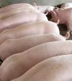 最省钱的猪饲料配方（猪用什么添加剂长得快和催肥最简单方法）