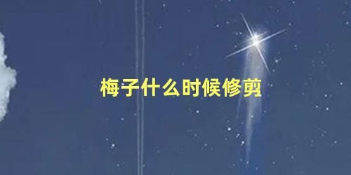 梅子什么时候修剪