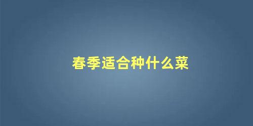 春季适合种什么菜