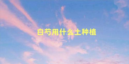 白芍用什么土种植
