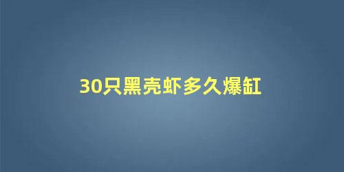 30只黑壳虾多久爆缸