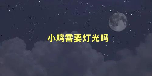 小鸡需要灯光吗