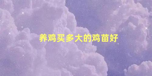养鸡买多大的鸡苗好