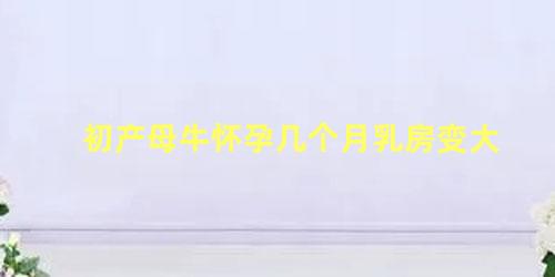 初产母牛怀孕几个月乳房变大
