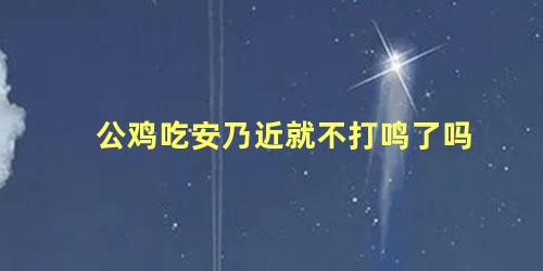公鸡吃安乃近就不打鸣了吗