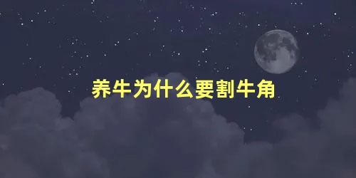 养牛为什么要割牛角