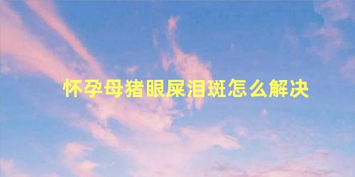 怀孕母猪眼屎泪斑怎么解决