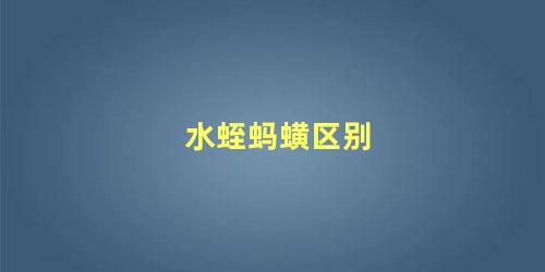 水蛭蚂蟥区别