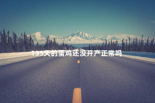 135天的蛋鸡还没开产正常吗