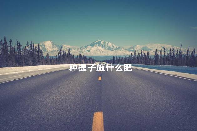 种提子施什么肥