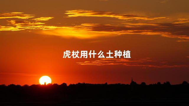 虎杖用什么土种植 虎杖用什么土种植
