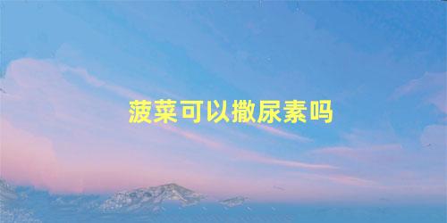 菠菜可以撒尿素吗