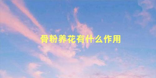 骨粉养花有什么作用