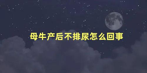 母牛产后不排尿怎么回事