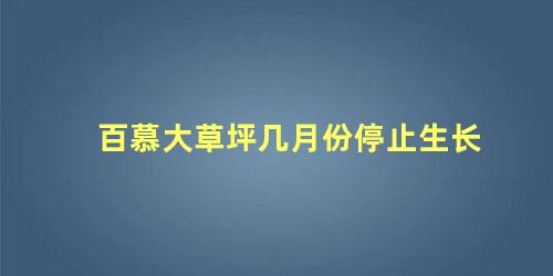 百慕大草坪几月份停止生长