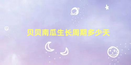 贝贝南瓜生长周期多少天