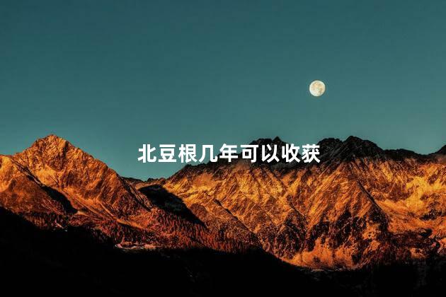 北豆根几年可以收获