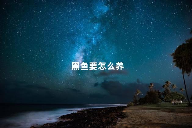黑鱼要怎么养