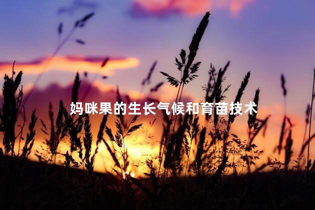 妈咪果的生长气候和育苗技术