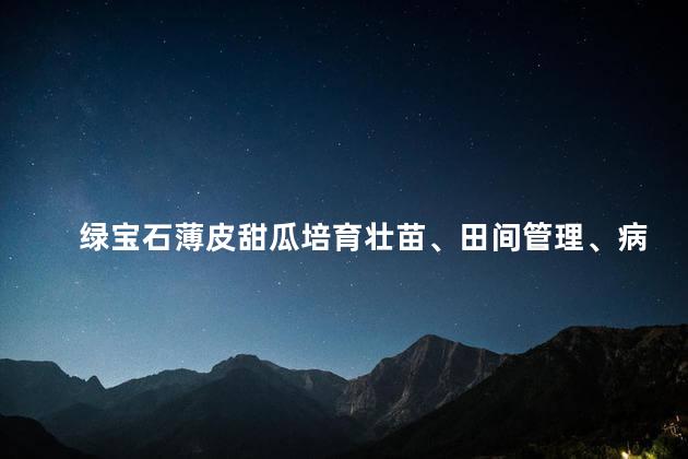 绿宝石薄皮甜瓜培育壮苗、田间管理、病害防治