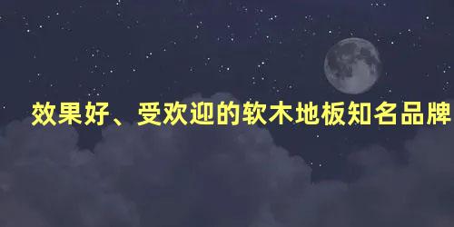 效果好、受欢迎的软木地板知名品牌