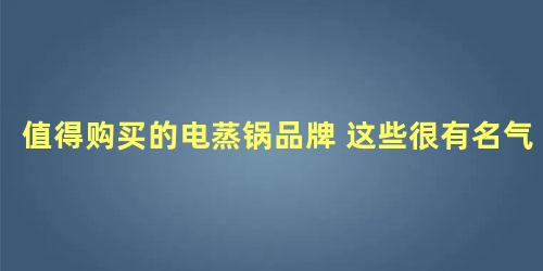 值得购买的电蒸锅品牌 这些很有名气