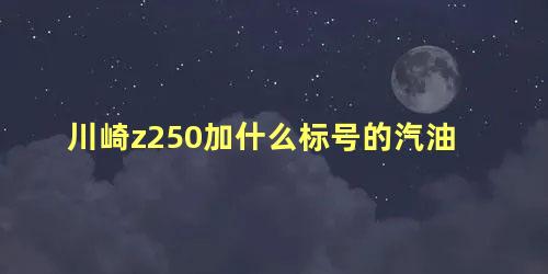 川崎z250加什么标号的汽油