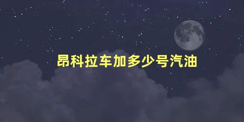 昂科拉车加多少号汽油