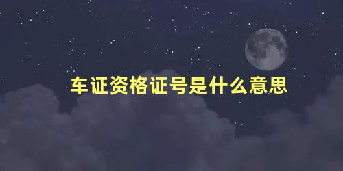 车证资格证号是什么意思