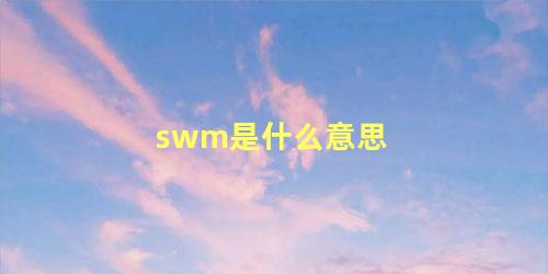 swm是什么意思