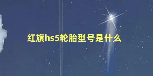 红旗hs5轮胎型号是什么