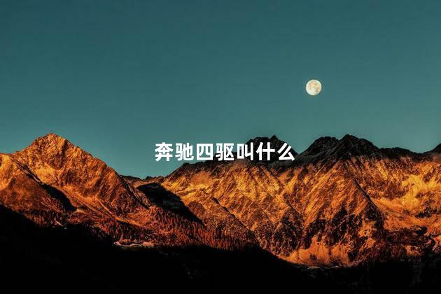 奔驰四驱叫什么