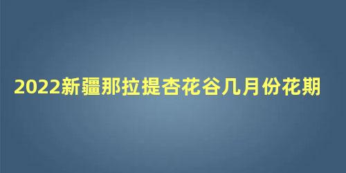 2022新疆那拉提杏花谷几月份花期