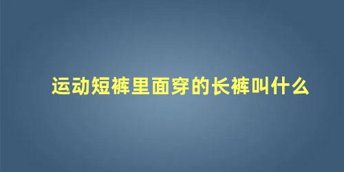 运动短裤里面穿的长裤叫什么