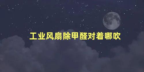 工业风扇除甲醛对着哪吹