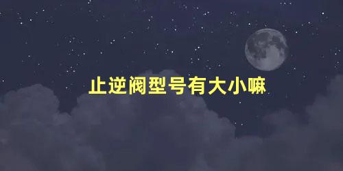 止逆阀型号有大小嘛