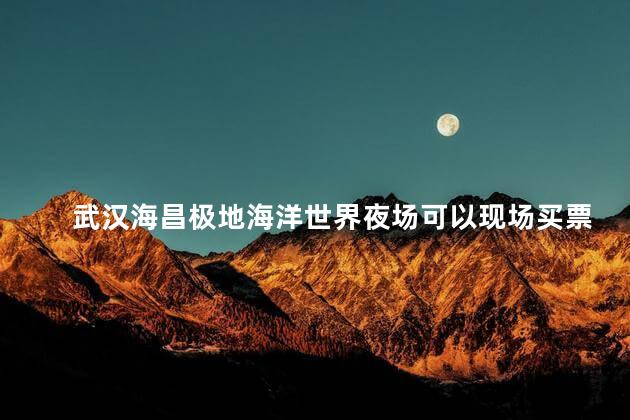 武汉海昌极地海洋世界夜场可以现场买票吗