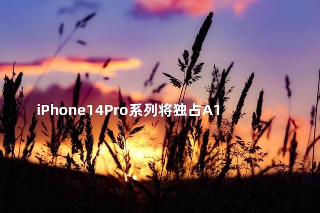 iPhone14Pro系列将独占A16芯片真的假的