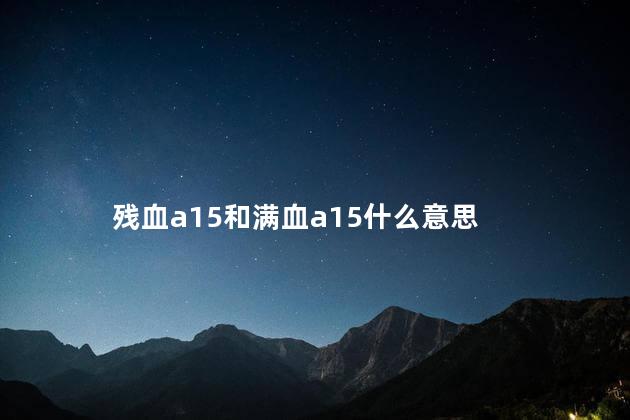 残血a15和满血a15什么意思