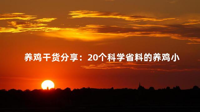 养鸡干货分享：20个科学省料的养鸡小妙招