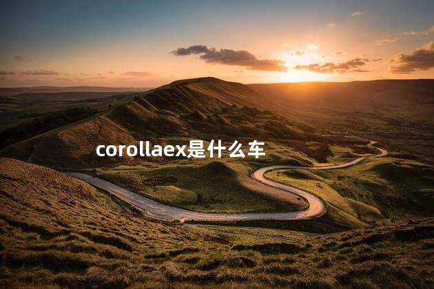 corollaex是什么车，2020丰田卡罗拉多少钱