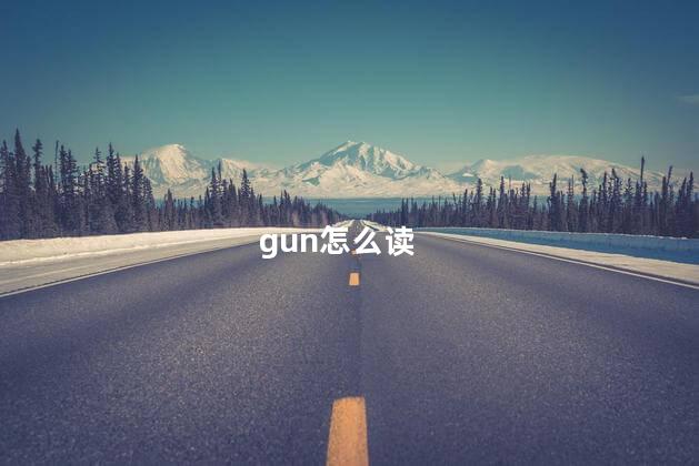 gun怎么读 gun是什么意思