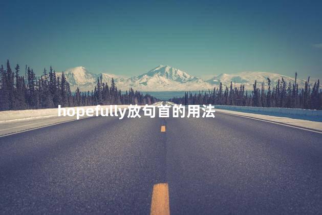 hopefully放句首的用法 hopeless是什么意思