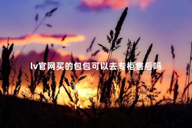 lv官网买的包包可以去专柜售后吗 lv包去专柜维修需要提供什么