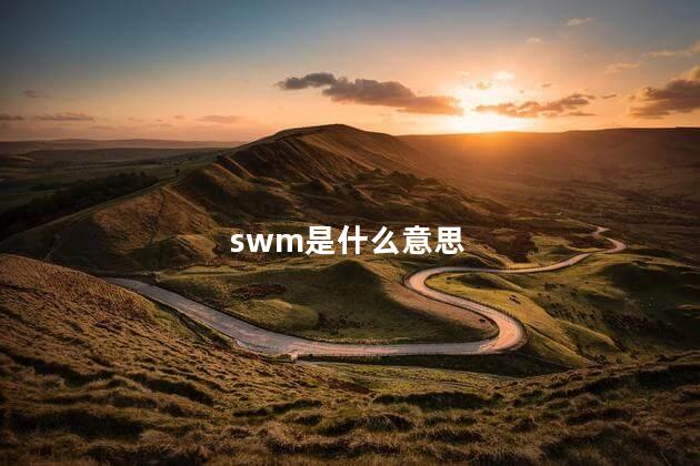 swm是什么意思，awm全称是什么意思