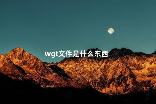 wgt文件是什么东西 tlg是什么文件