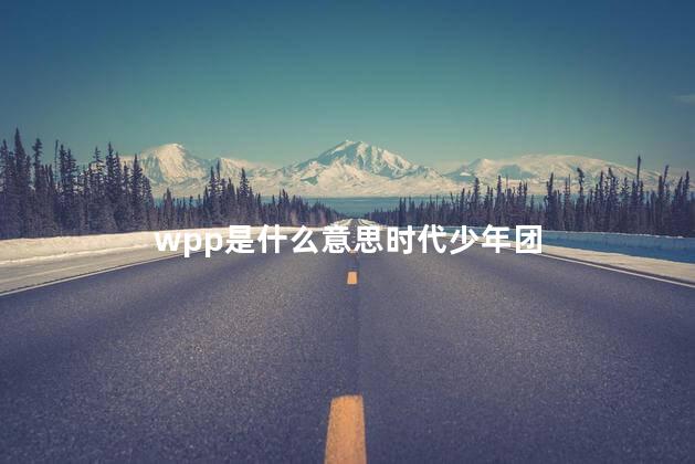 wpp是什么意思