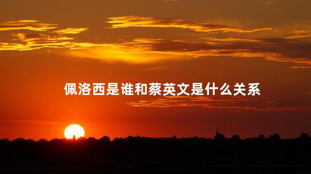 佩洛西是谁和蔡英文是什么关系
