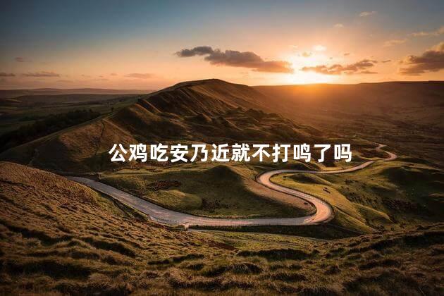 公鸡吃安乃近就不打鸣了吗 什么药让公鸡吃了就不会叫了