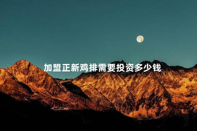 加盟正新鸡排需要投资多少钱